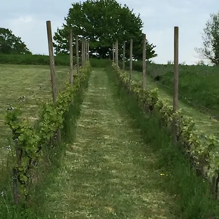 Oasis Du Lot Ferienhaus