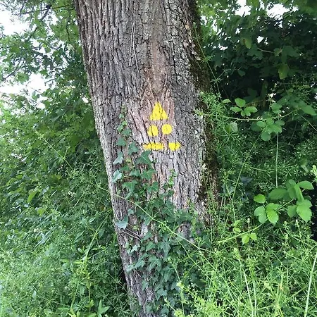 Holiday home Oasis Du Lot *