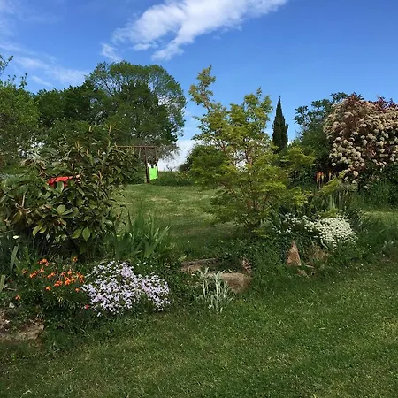 Oasis Du Lot *