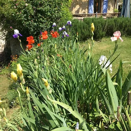 Oasis Du Lot * Payrac