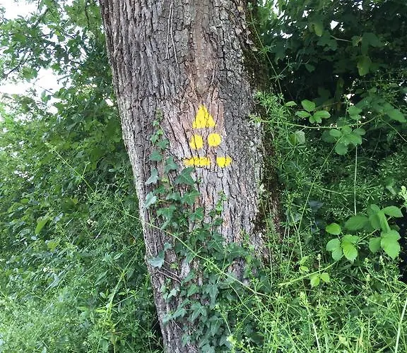 Prázdninový dům Oasis Du Lot *