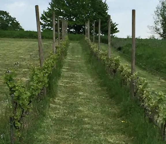 Oasis Du Lot Prázdninový dům