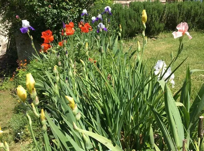 Oasis Du Lot * Payrac